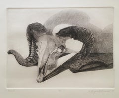 Elizabeth Quandt 'Aries II' Limited Edition, Signed Etching of Ram's Head