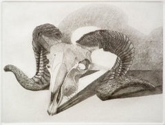 Vintage Elizabeth Quandt 'Aries II' Limited Edition, Signed Etching of Ram's Head