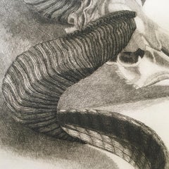 Elizabeth Quandt 'Aries III' Limited Edition, Signed Etching of Ram's Head