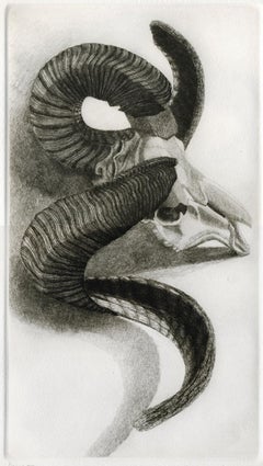 Elizabeth Quandt 'Aries III' Limited Edition, Signed Etching of Ram's Head