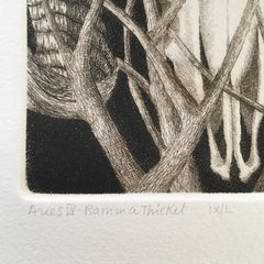 Elizabeth Quandt 'Aries IV' Limited Edition, Signed Etching of Ram's Head