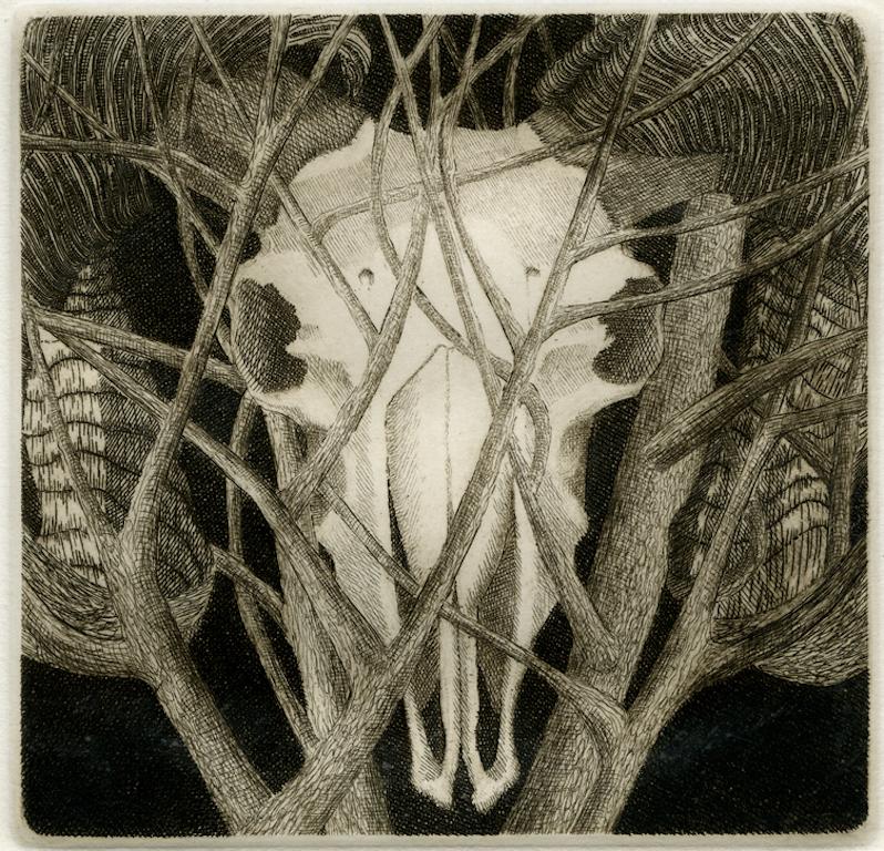 Elizabeth Quandt 'Aries IV' Limited Edition, Signed Etching of Ram's Head