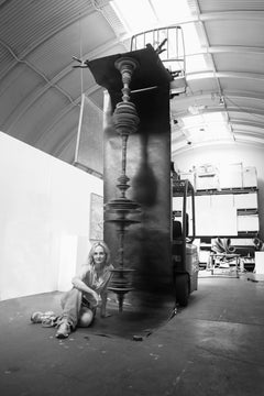 South Island Wren (Suspended)