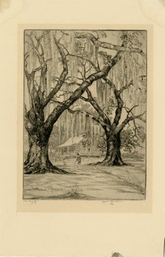 Low Country (South Carolina)