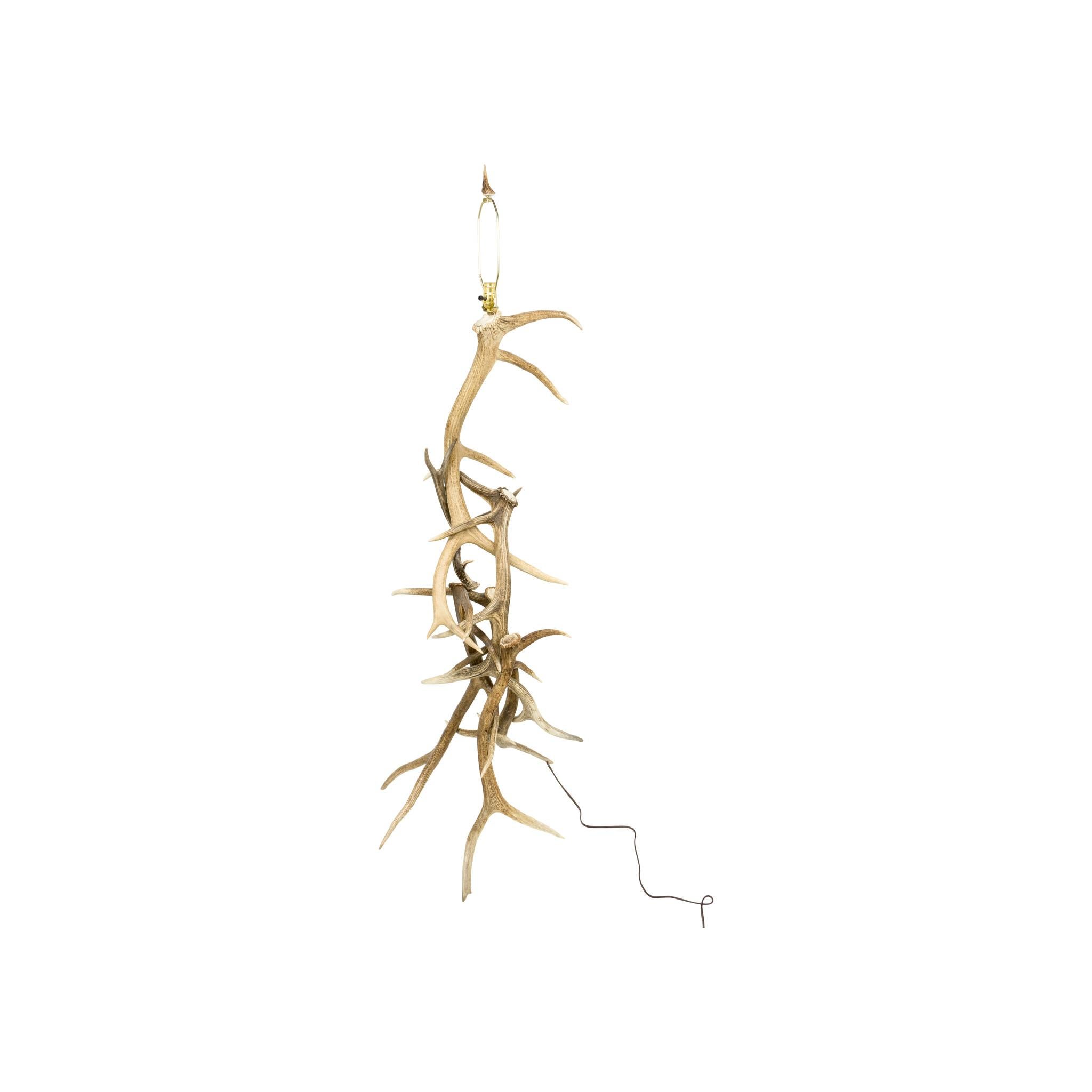 Lampada da terra in corno d'alce naturale con paralume in pelle. Realizzato con corna belle e grandi, con tonalità da chiare a scure. Il paralume è dipinto di scuro nella parte inferiore.  72
