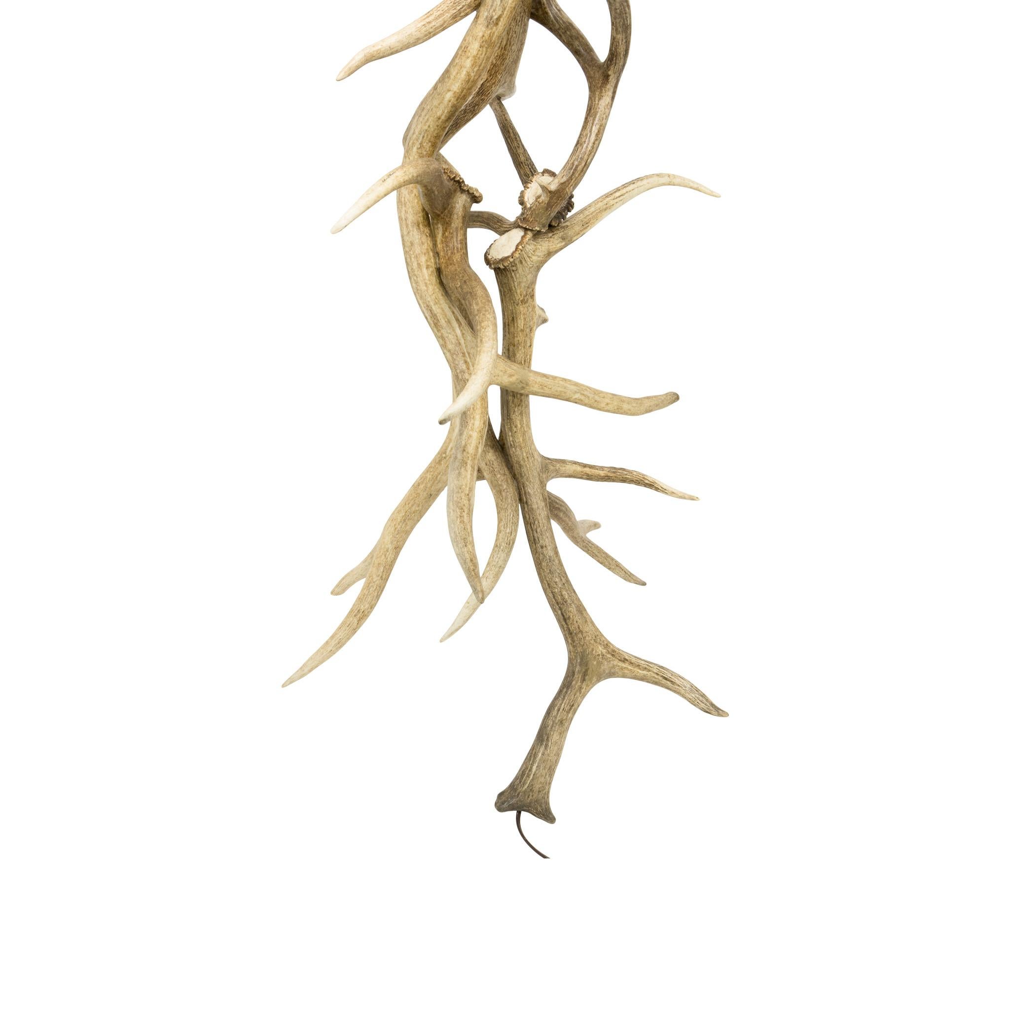 Lampada da terra in corno d'alce naturale con paralume in pelle. Realizzato con corna belle e grandi, con tonalità da chiare a scure. Il paralume è dipinto di scuro nella parte inferiore.  72