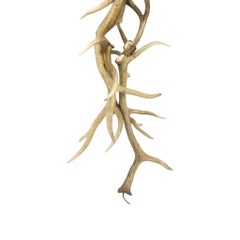Elk Antler Floor Lamp