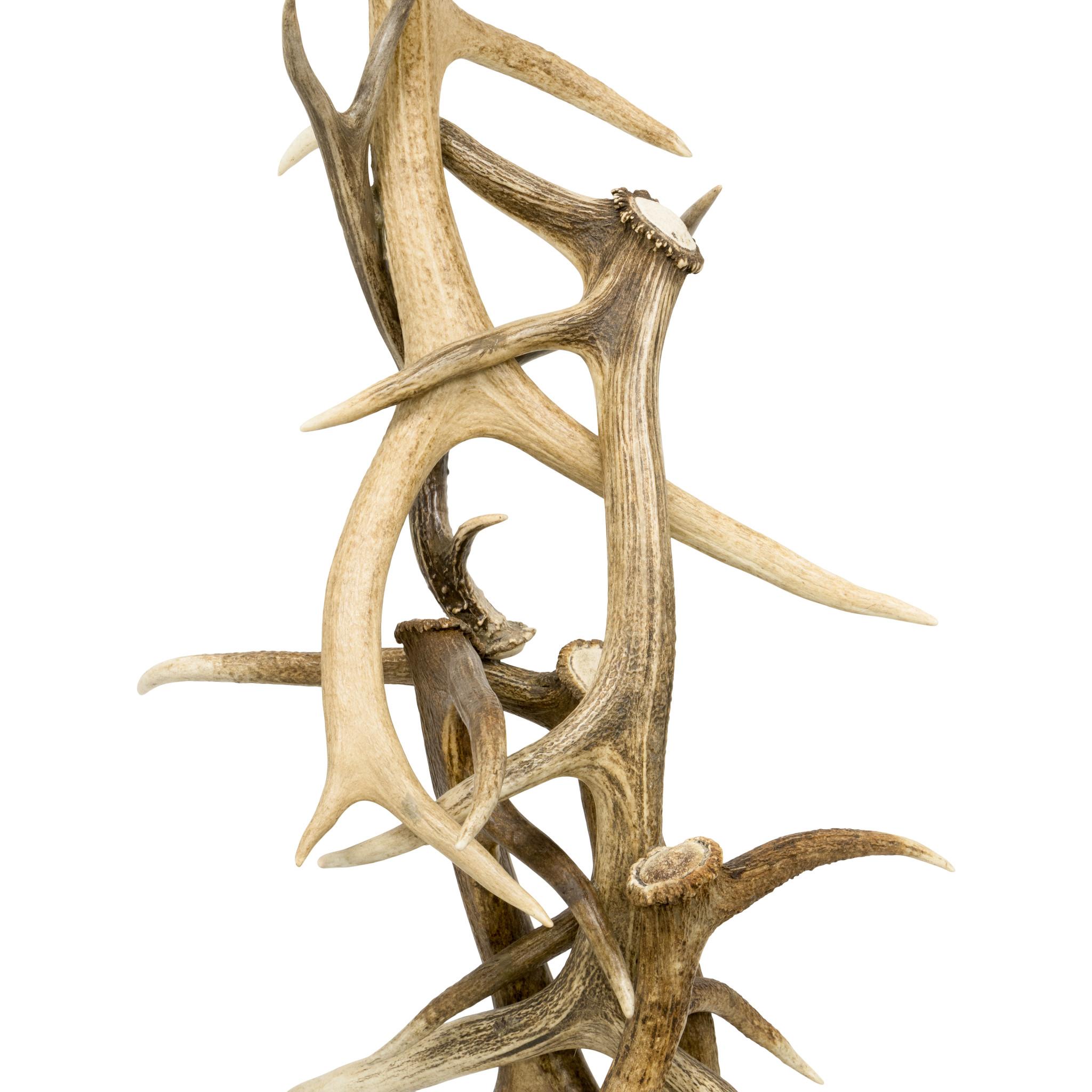 Contemporary Elk Antler Floor Lamp For Sale