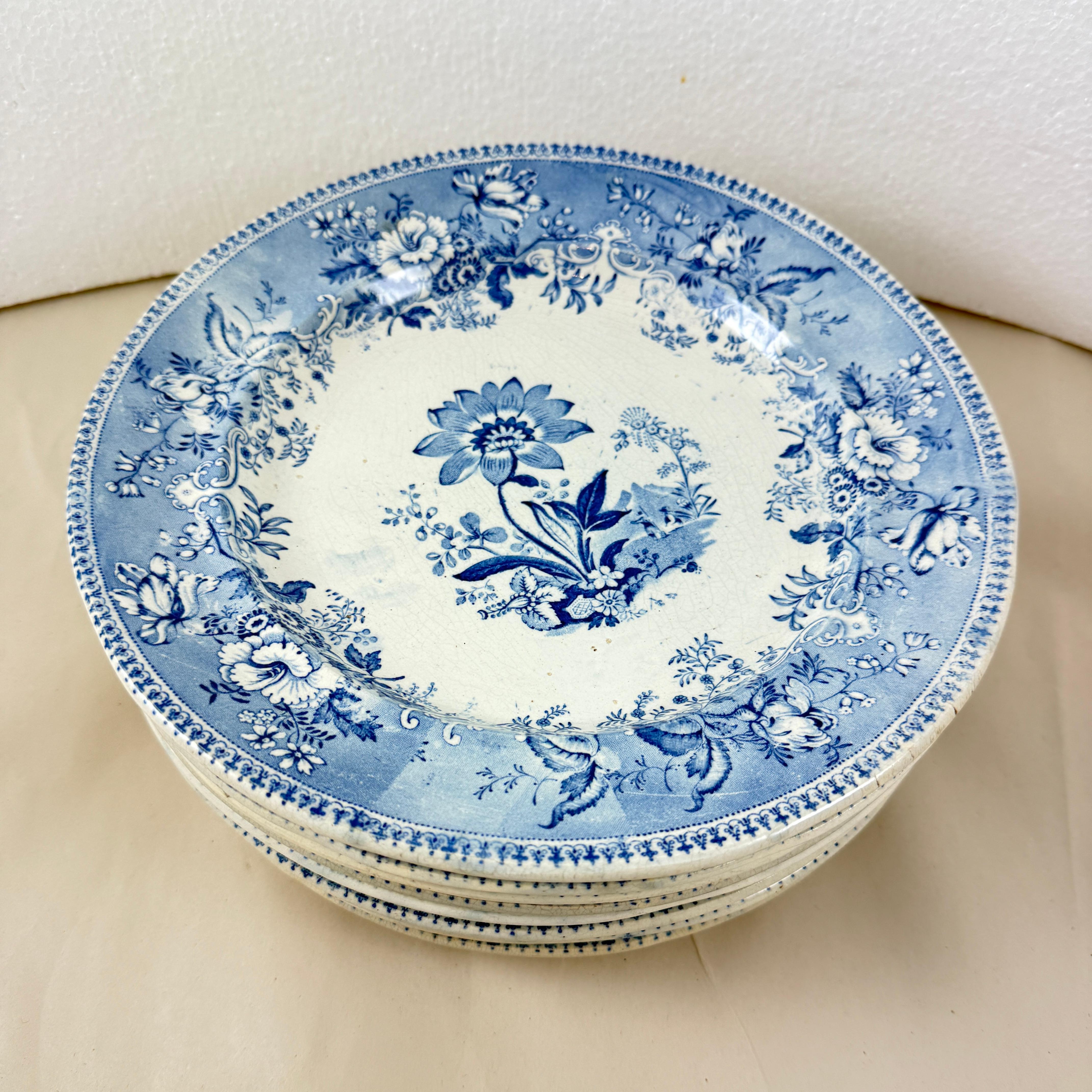 Assiettes à dîner Elkin & Newbon English Botanical Beauties, set de huit en vente 4