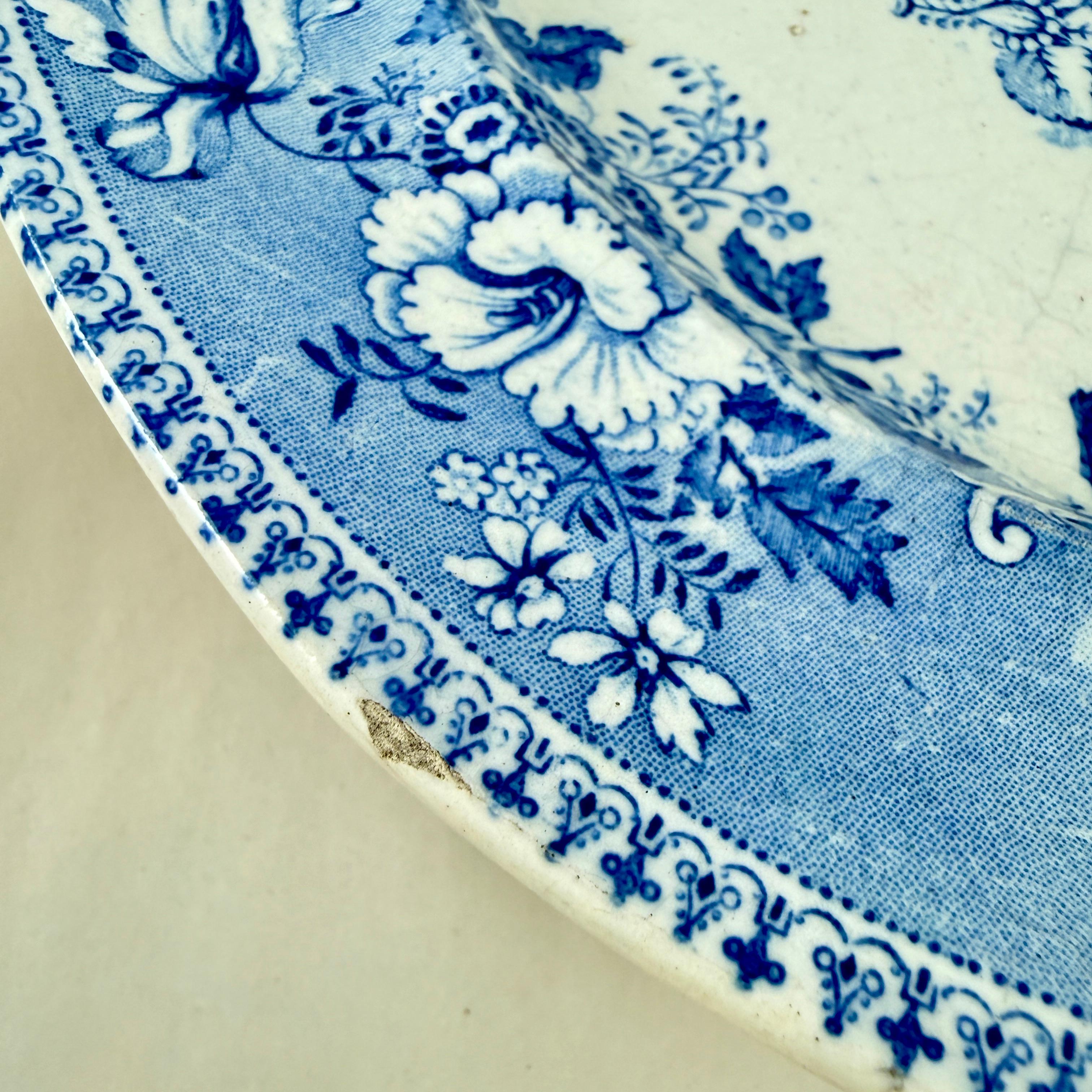 Assiettes à dîner Elkin & Newbon English Botanical Beauties, set de huit en vente 8