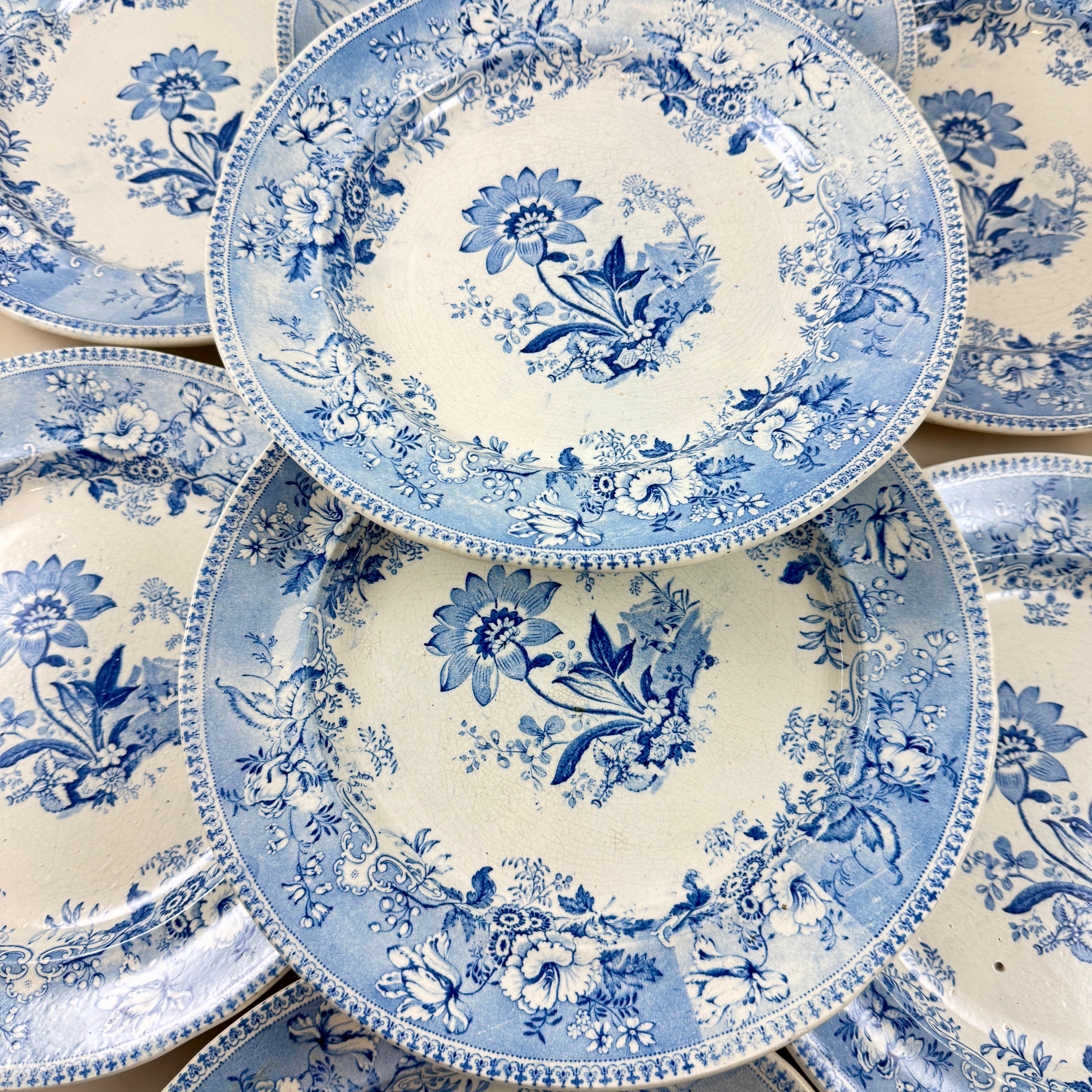 Apogée victorien Assiettes à dîner Elkin & Newbon English Botanical Beauties, set de huit en vente