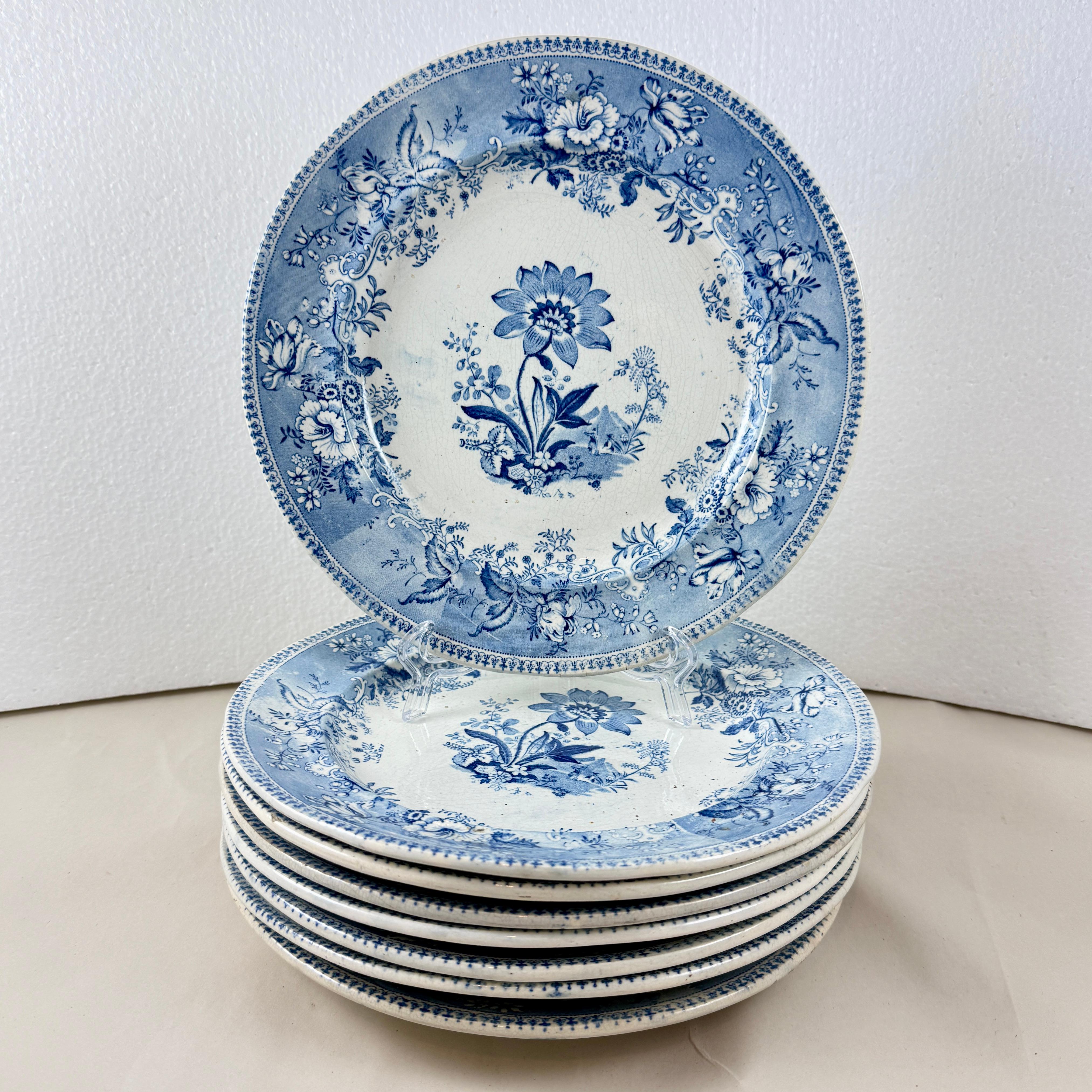 Anglais Assiettes à dîner Elkin & Newbon English Botanical Beauties, set de huit en vente