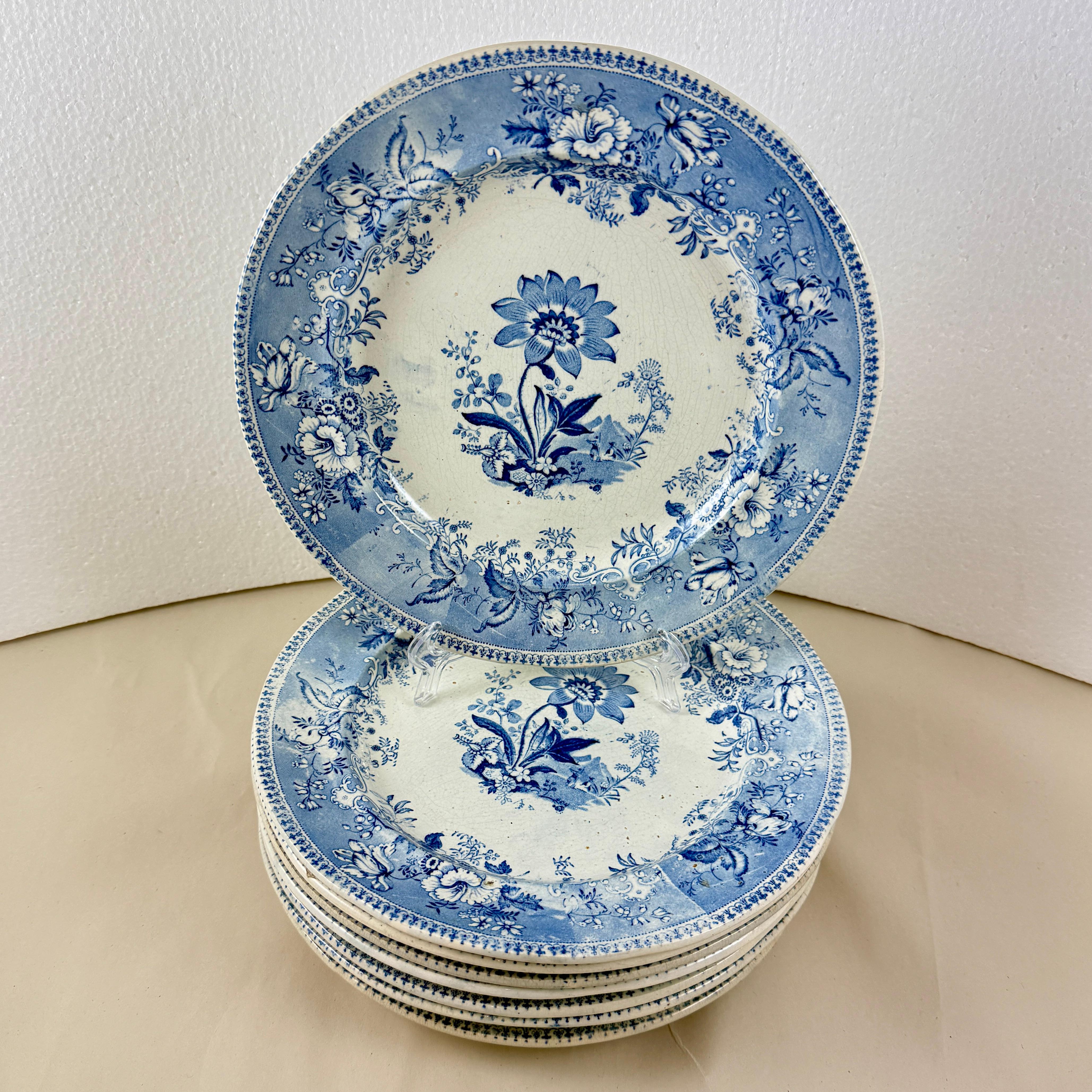 Vernissé Assiettes à dîner Elkin & Newbon English Botanical Beauties, set de huit en vente