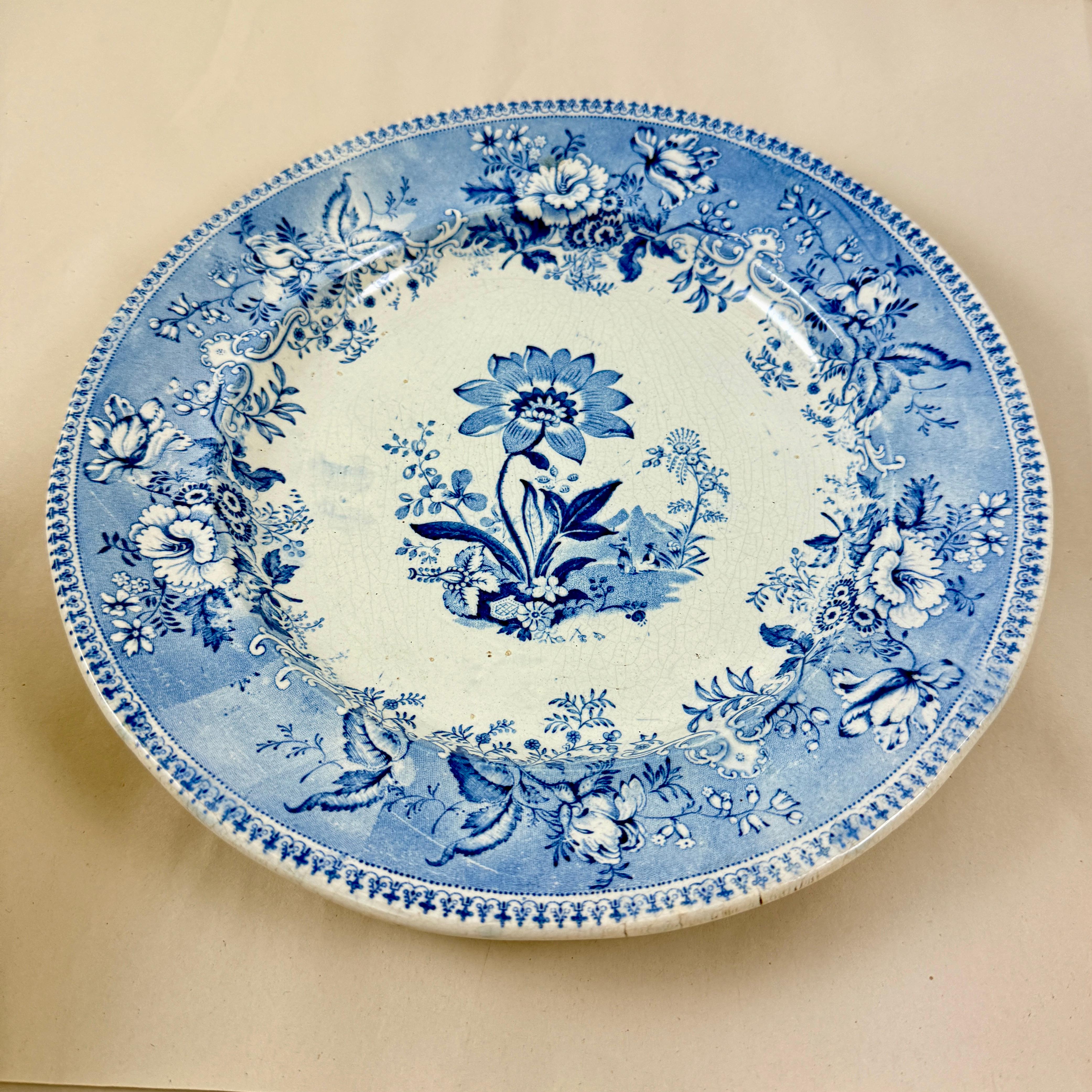 XIXe siècle Assiettes à dîner Elkin & Newbon English Botanical Beauties, set de huit en vente