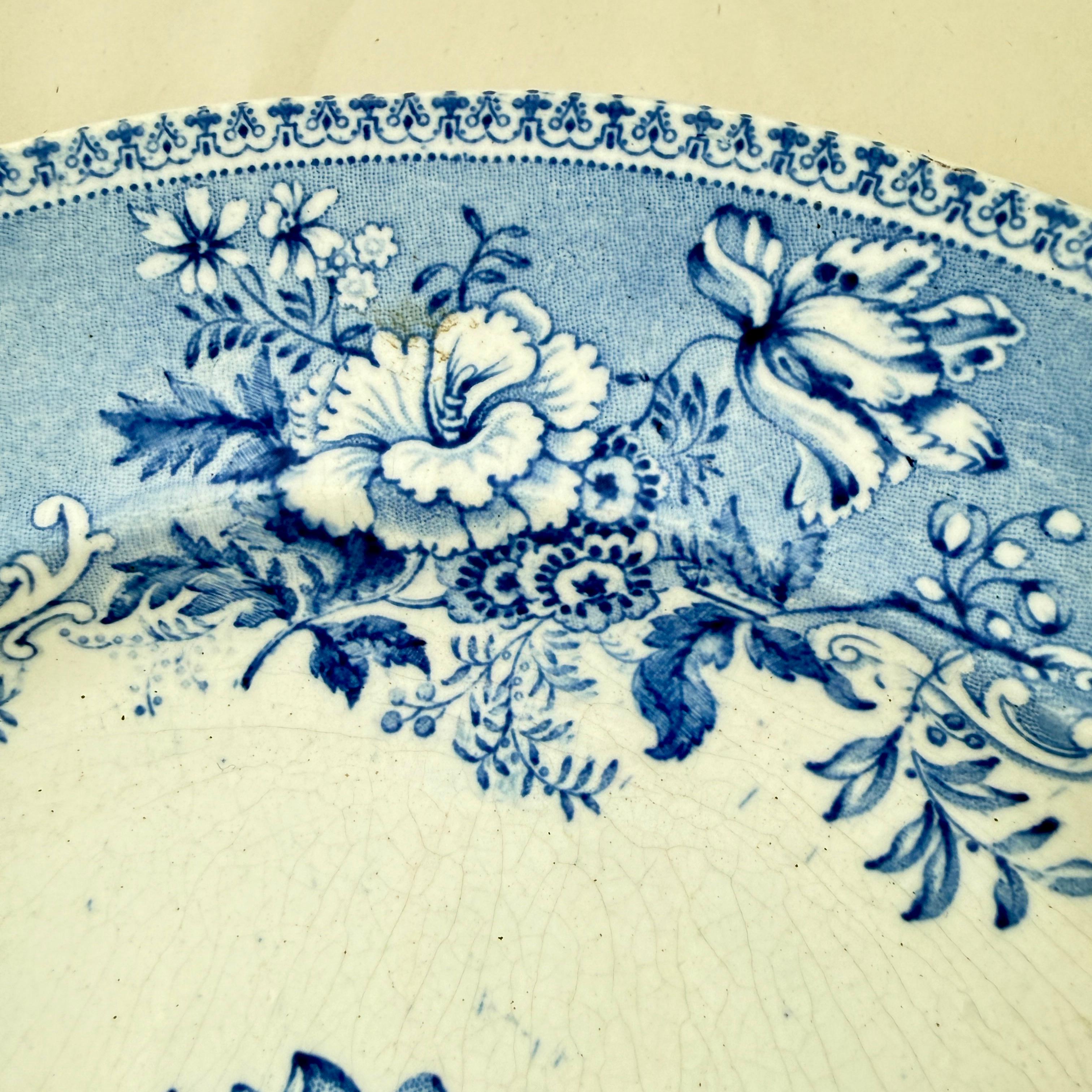 Assiettes à dîner Elkin & Newbon English Botanical Beauties, set de huit en vente 1