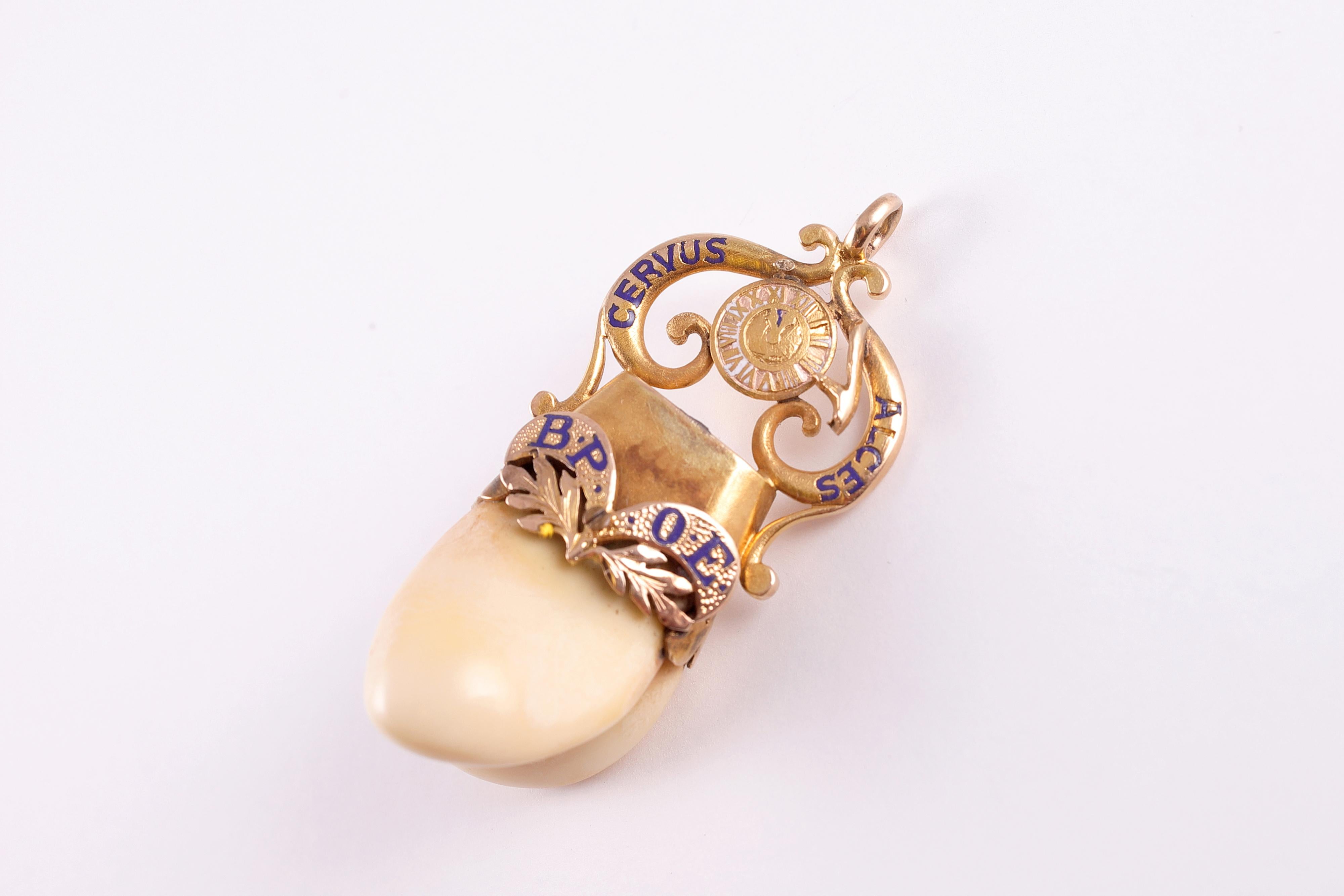 Elk's Lodge double tooth fob with 14 karat yellow gold.  Enamel accents stating 