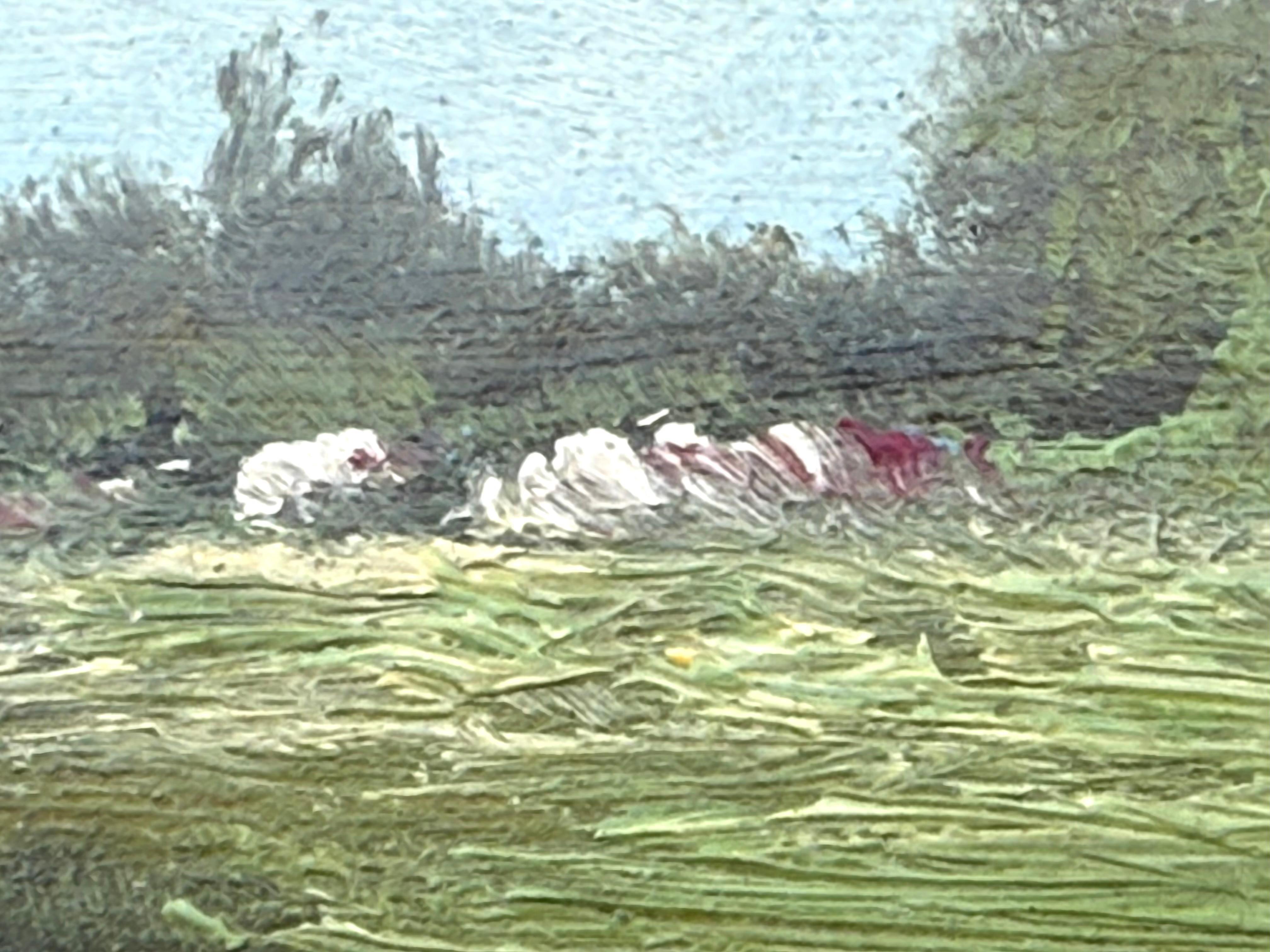 Peinture à l'huile originale sur panneau en bois d'acajou, attribuée à la main d'Ella Buchanan.  Signé indistinctement en bas à droite.  L'état est bon. Circa 1900.  Actuellement non encadré.  Des options d'encadrement sont disponibles.  Provenance