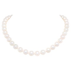 Ella Gafter Japanese 10.5/10mm Pearl Strand Necklace