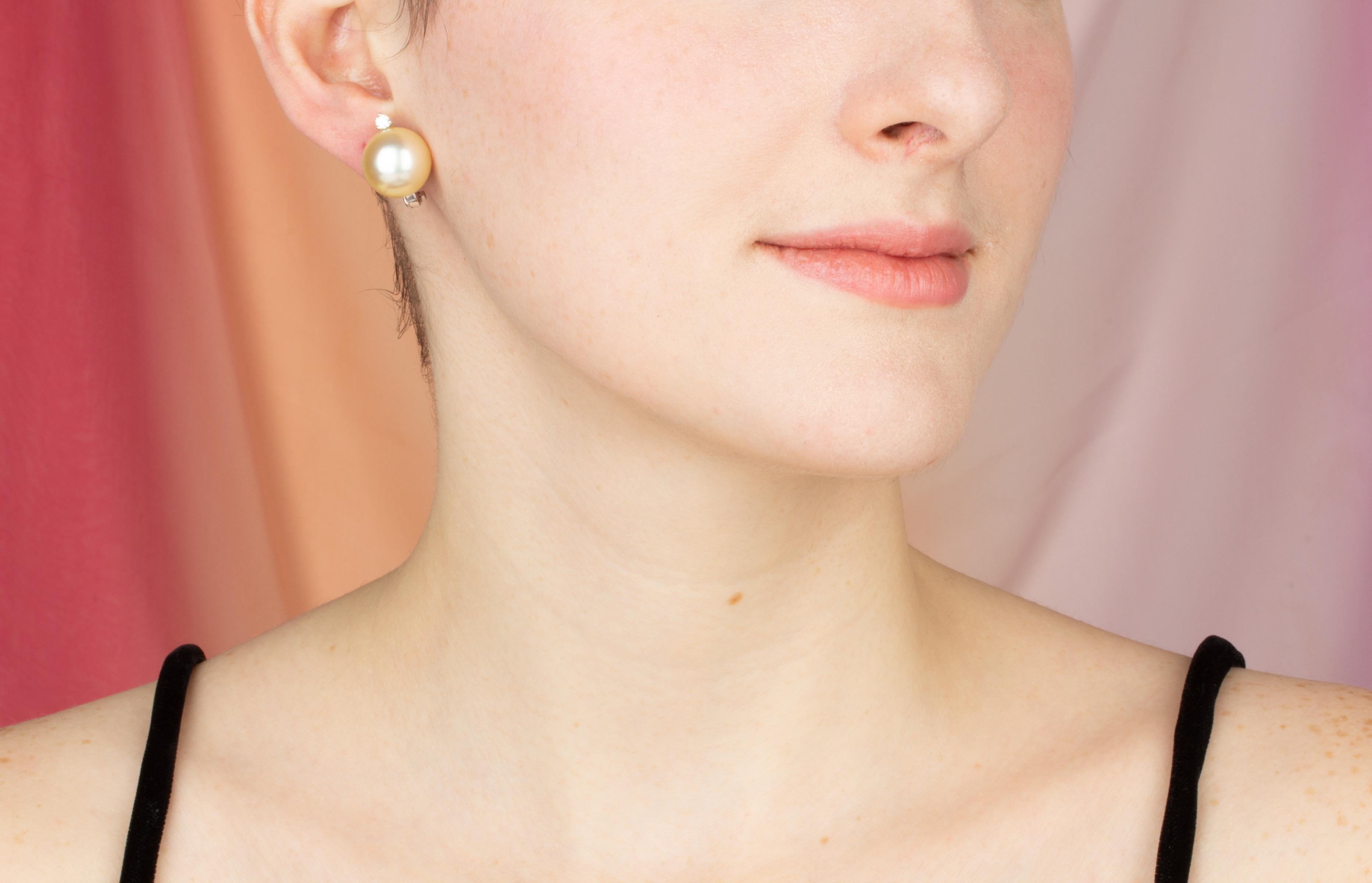The South Sea pearl and diamond earrings feature two creamy color 14mm diameter pearls originating from the waters of Northwestern Australia. Please note the properly designed setting, assuring that the pearls will not fall forward when worn on the