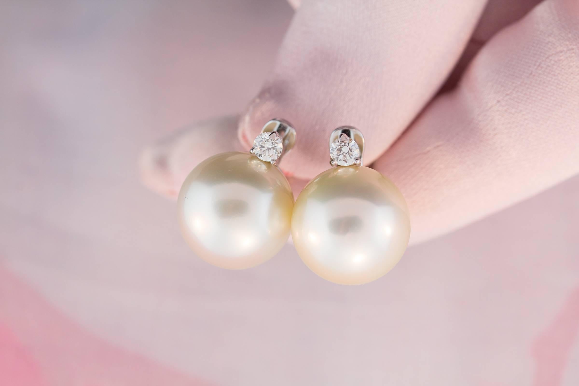 Women's Ella Gafter South Sea Pearl and Diamond White Gold Clip-on Earrings