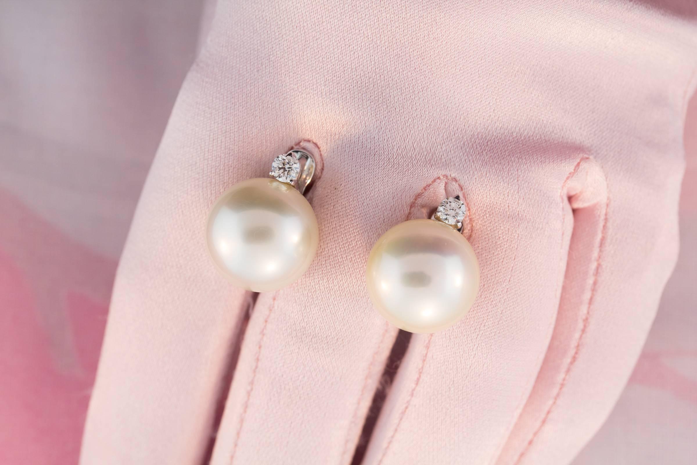 Ella Gafter South Sea Pearl and Diamond White Gold Clip-on Earrings 1