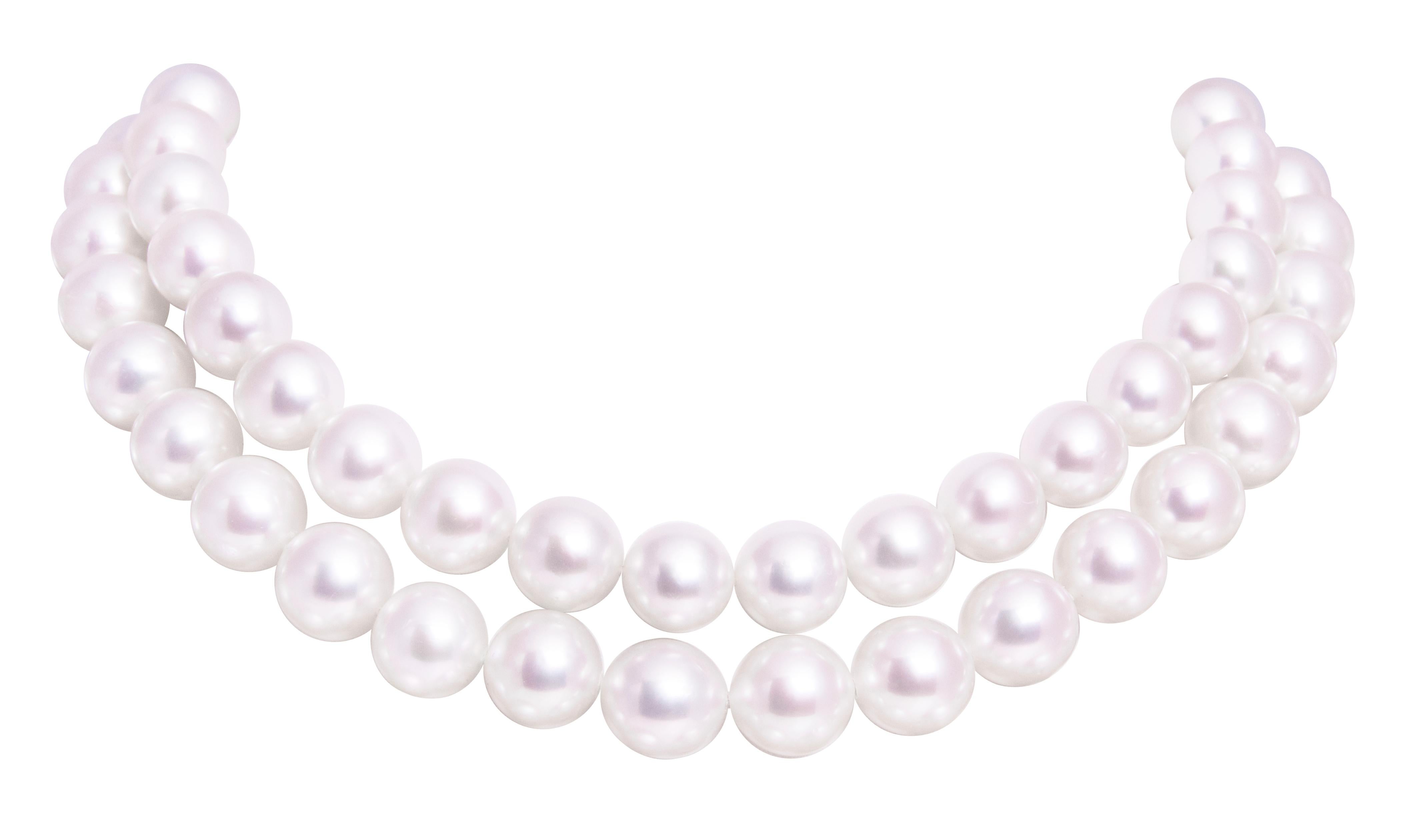 Ella Gafter South Sea Pearl Diamond Clasp Choker Necklace For Sale 1
