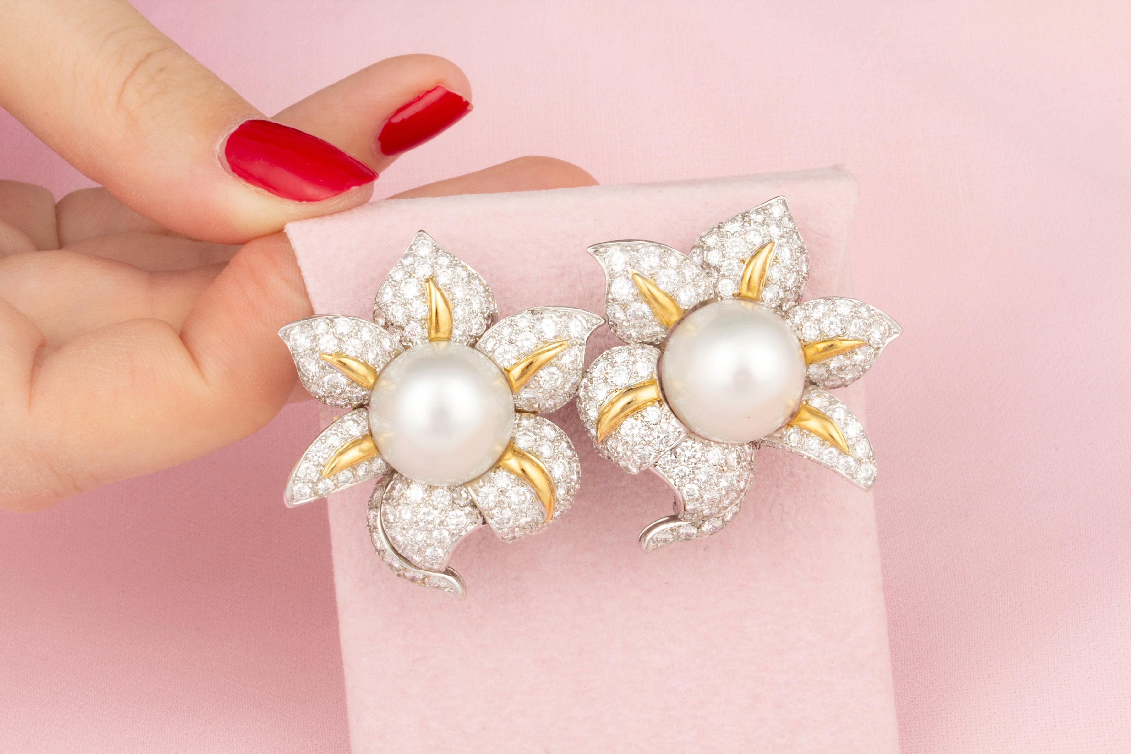 pearl earrings malabar gold