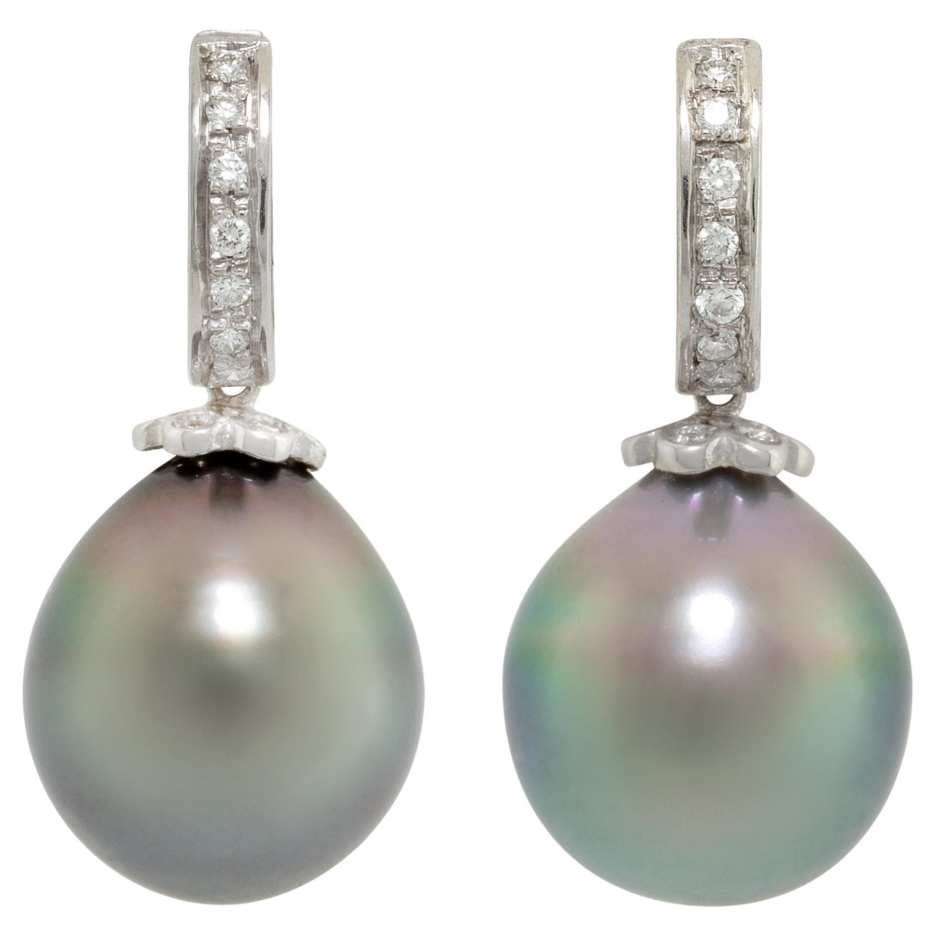 Ella Gafter Tahitian Black Pearl Diamond Hoop Drop Earrings For Sale