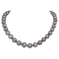 Ella Gafter Tahitian Black Pearl Strand Necklace