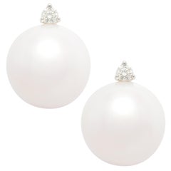 Ella Gafter 14.5mm South Sea Pearl Stud Earrings