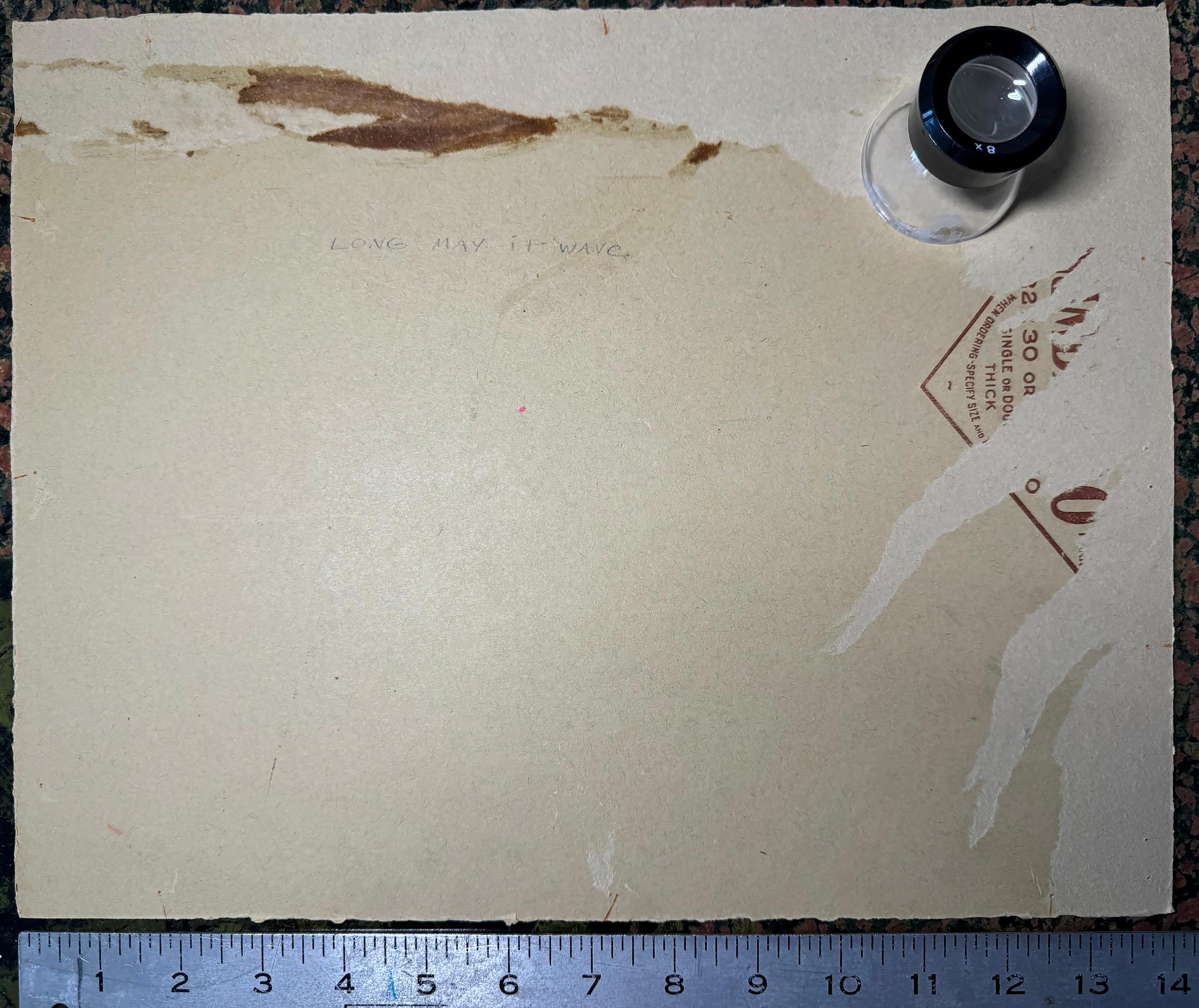 Ragazza scout bionda di metà secolo - Saluto patriottico con bandiera americana in vendita 10