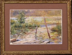 Nenúfares blancos en un estanque