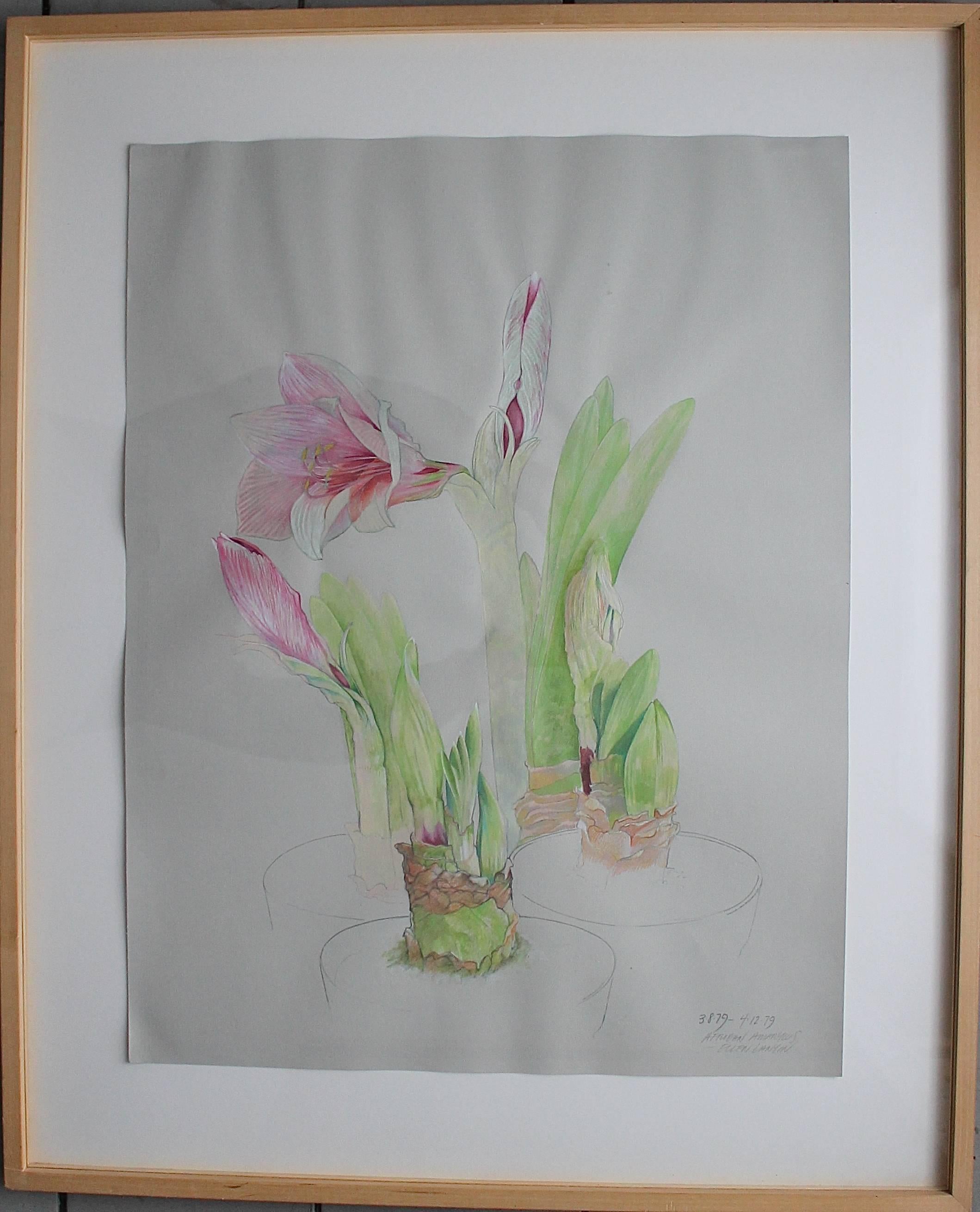 Beautiful original Ellen Lanyon prismacolor watercolor by this important and famous Chicago 'Imagist'. Retains its Richard Gray Gallery label. Framed.
  