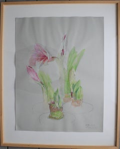 Ellen Lanyon Watercolor "Amaryllis" Richard Gray Gallery Label, 1978