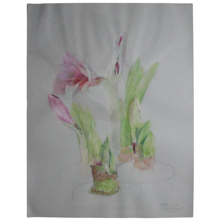 Ellen Lanyon Watercolor "Amaryllis" Richard Gray Gallery Label, 1978