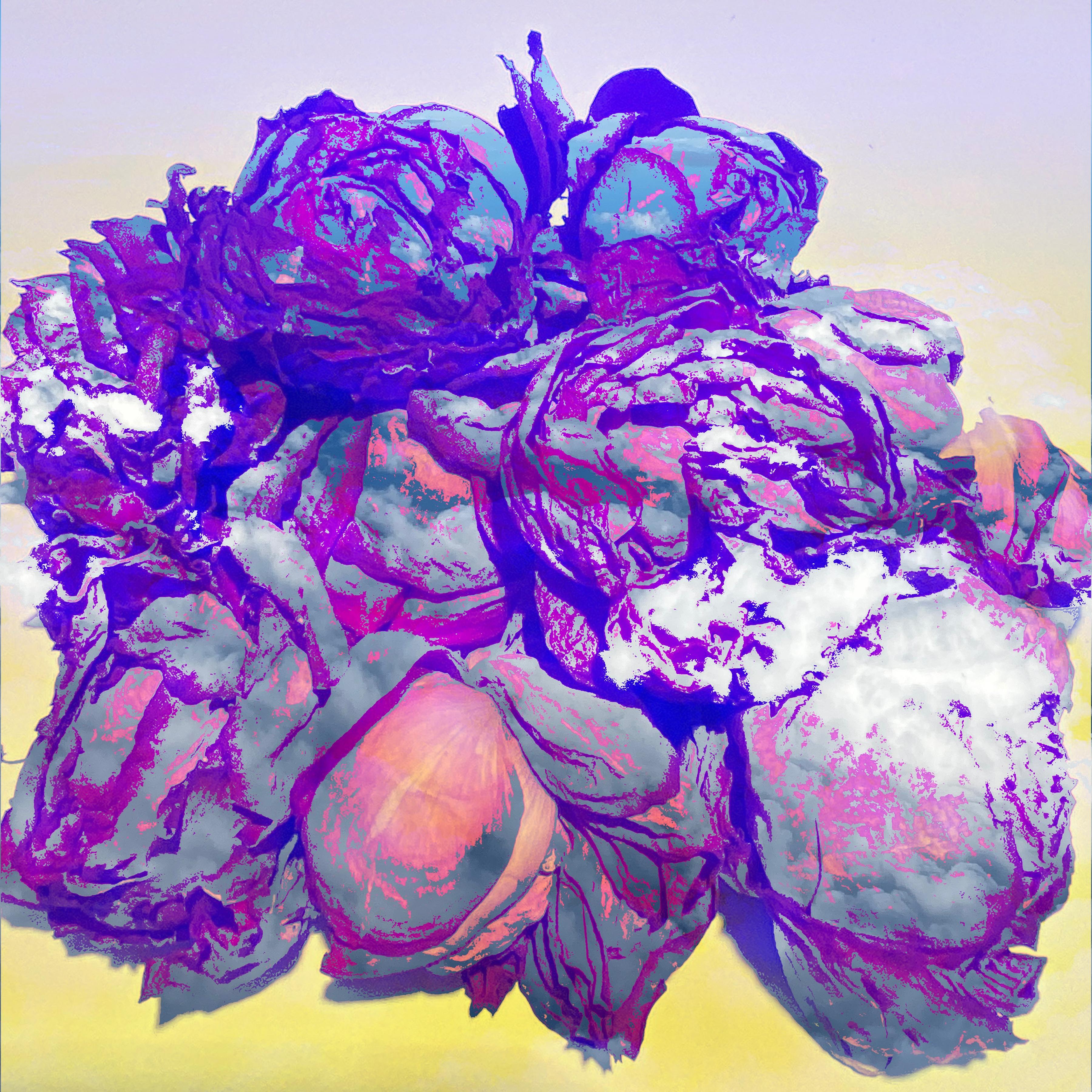 Ellen Martin + Kevin Hinkle Color Photograph – In den Wolken schwebende Rosen