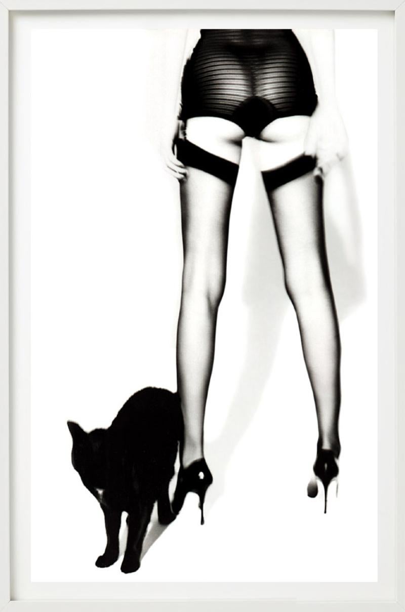 Adriana Lima Wicked IV - en collants avec un chat noir, photographie d'art. 1999 en vente 2