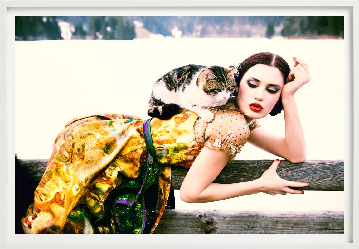 Cat on the back - Heimat, Fine Art Photography, 2015 en vente 4