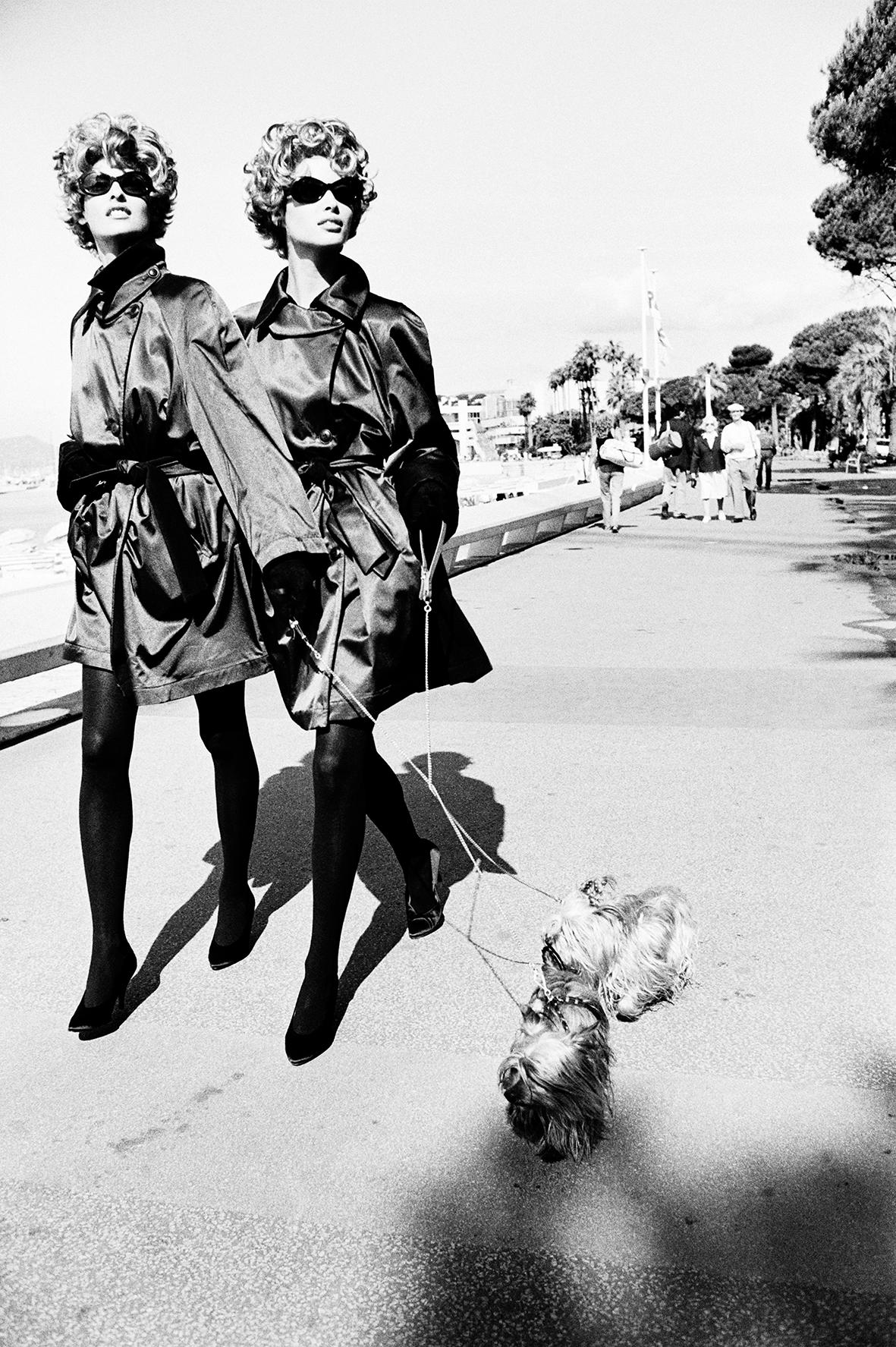 Dog Walkers, Cannes