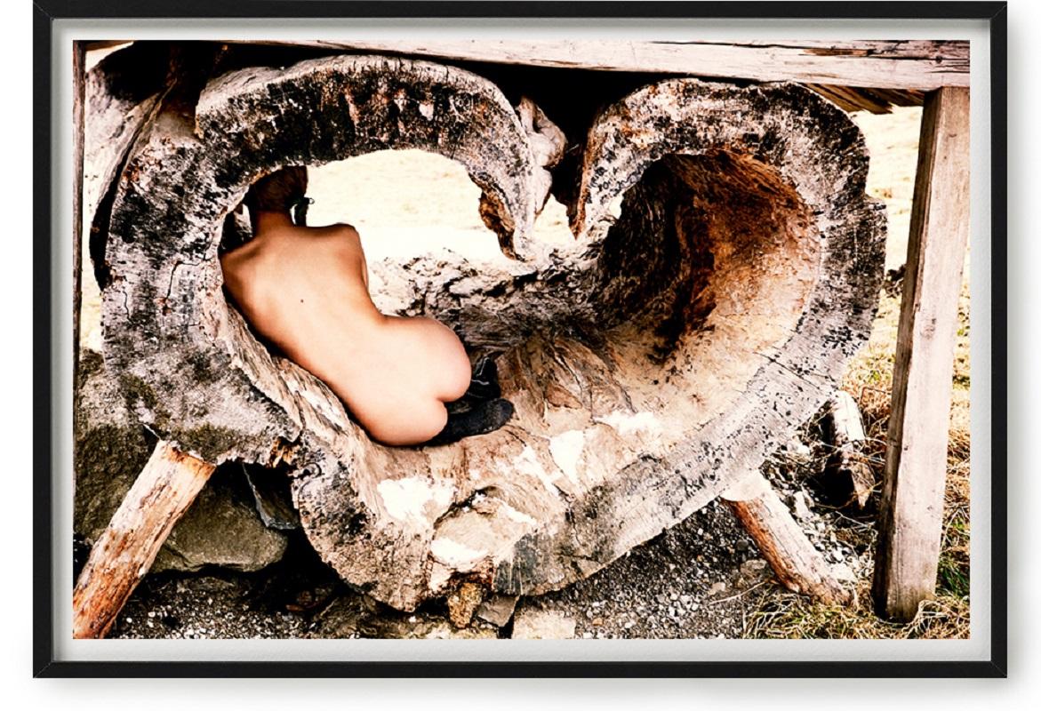 Baum der Liebe – Photograph von Ellen von Unwerth
