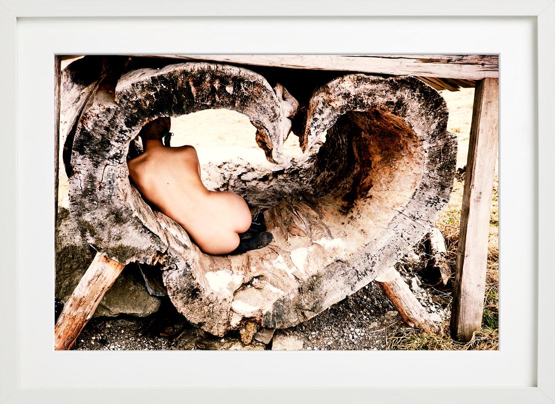 Tree of Love – Akt in einer herzförmigen Baumtruhe, Kunstfotografie, 2015 im Angebot 5