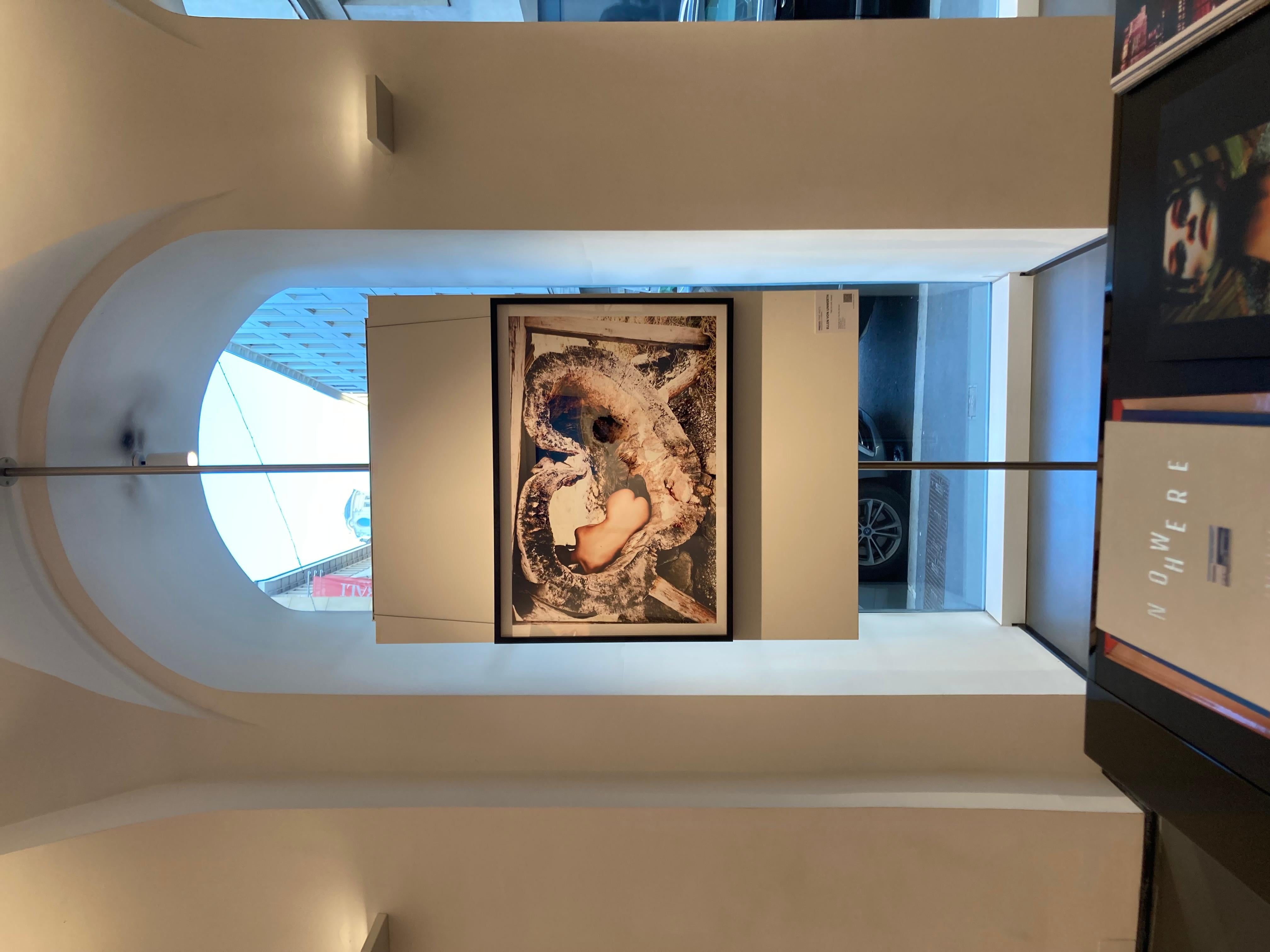 Tree of Love - Nude in a Heart Shaped Tree Trunk, photographie d'art, 2015 en vente 6