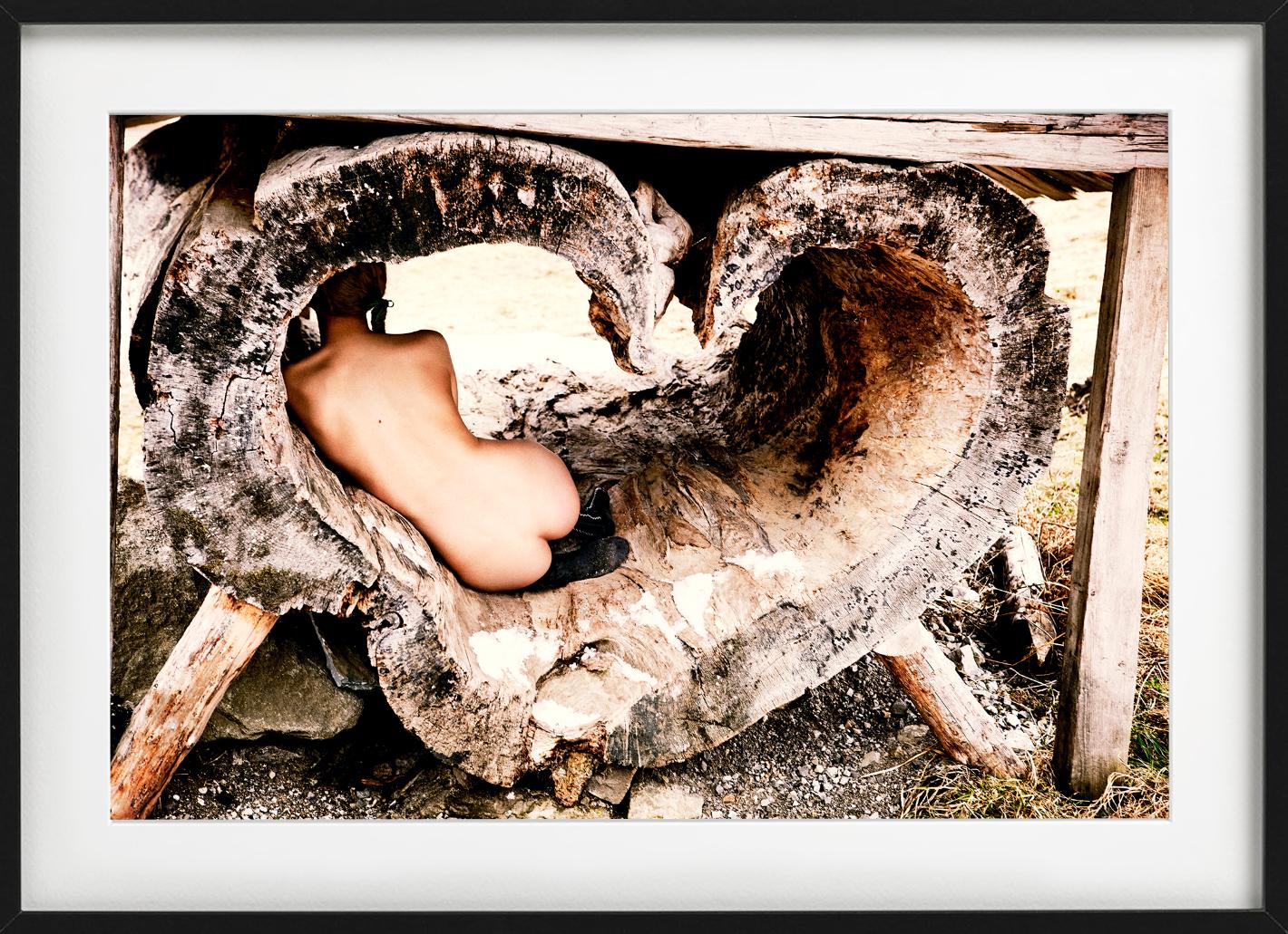 Tree of Love – Akt in einer herzförmigen Baumtruhe, Kunstfotografie, 2015 – Photograph von Ellen von Unwerth