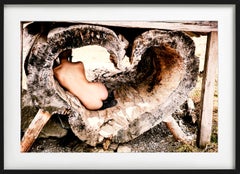 Tree of Love - Nude in a Heart Shaped Tree Trunk, photographie d'art, 2015
