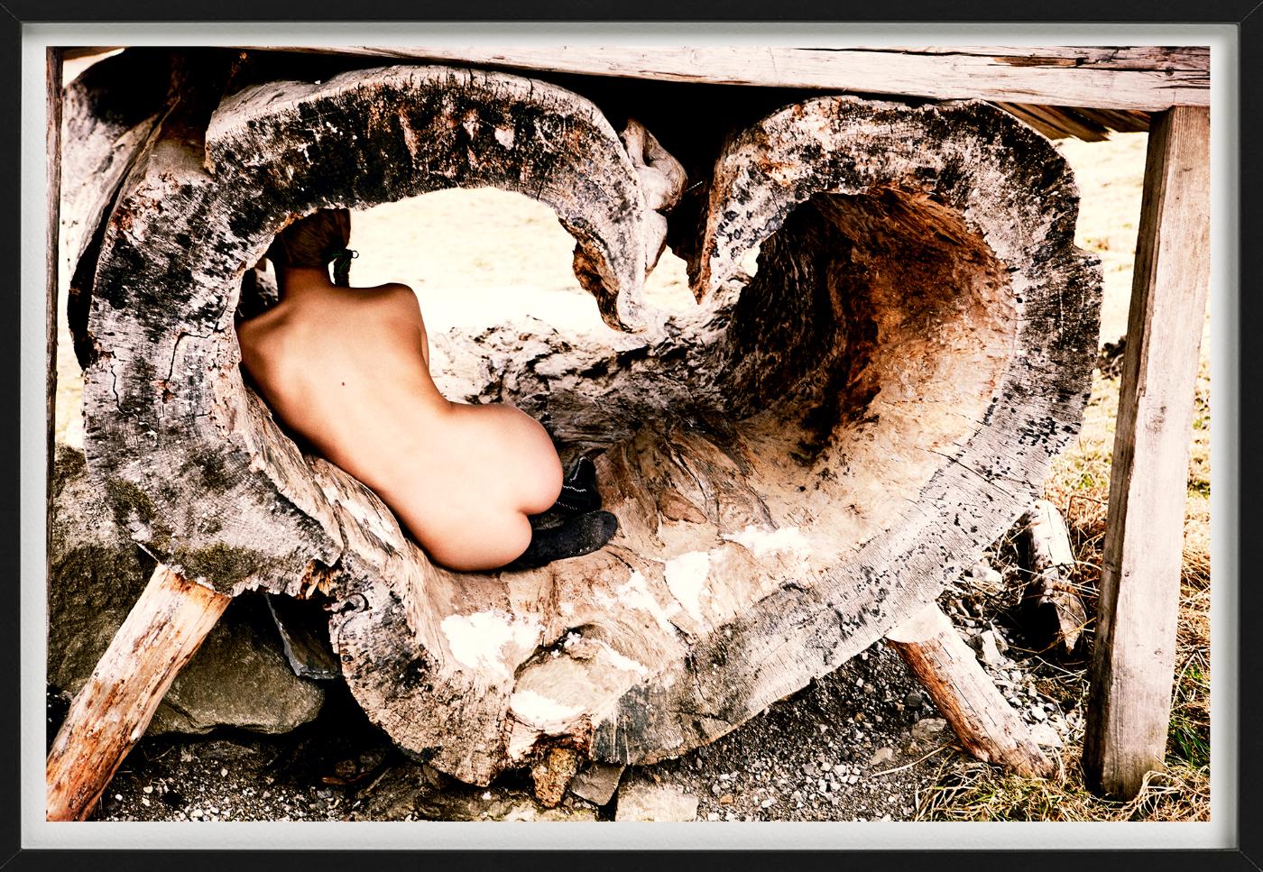 Tree of Love – Akt in einer herzförmigen Baumtruhe, Kunstfotografie, 2015 (Zeitgenössisch), Photograph, von Ellen von Unwerth