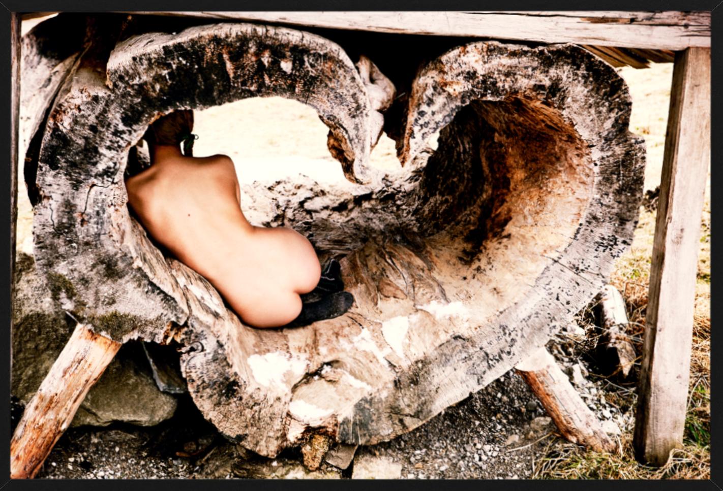 Tree of Love – Akt in einer herzförmigen Baumtruhe, Kunstfotografie, 2015 (Beige), Nude Photograph, von Ellen von Unwerth