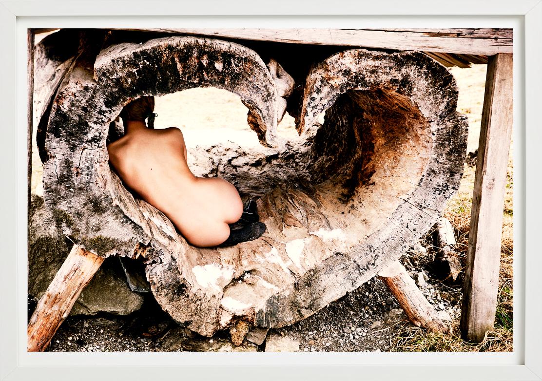 Tree of Love – Akt in einer herzförmigen Baumtruhe, Kunstfotografie, 2015 im Angebot 4