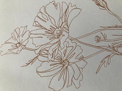 Oxeye Daisies, Original painting on paper, Nature, Rose, Flower
