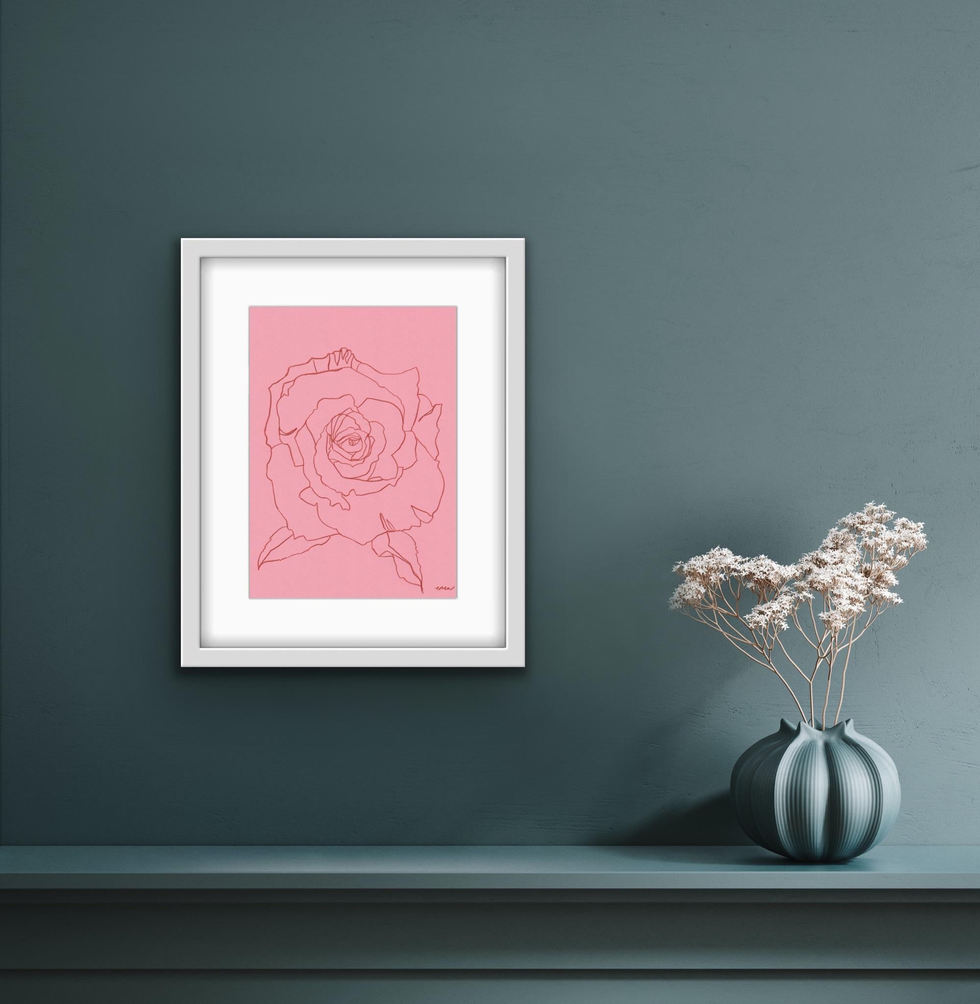 Ellen Williams Rose IX Original drawing - coloured pencil on A4 150gsm paper This drawing is one in a series of botanical line drawings depicting the seasonal flowers of English gardens and the countryside. Unframed Flower, illustration,