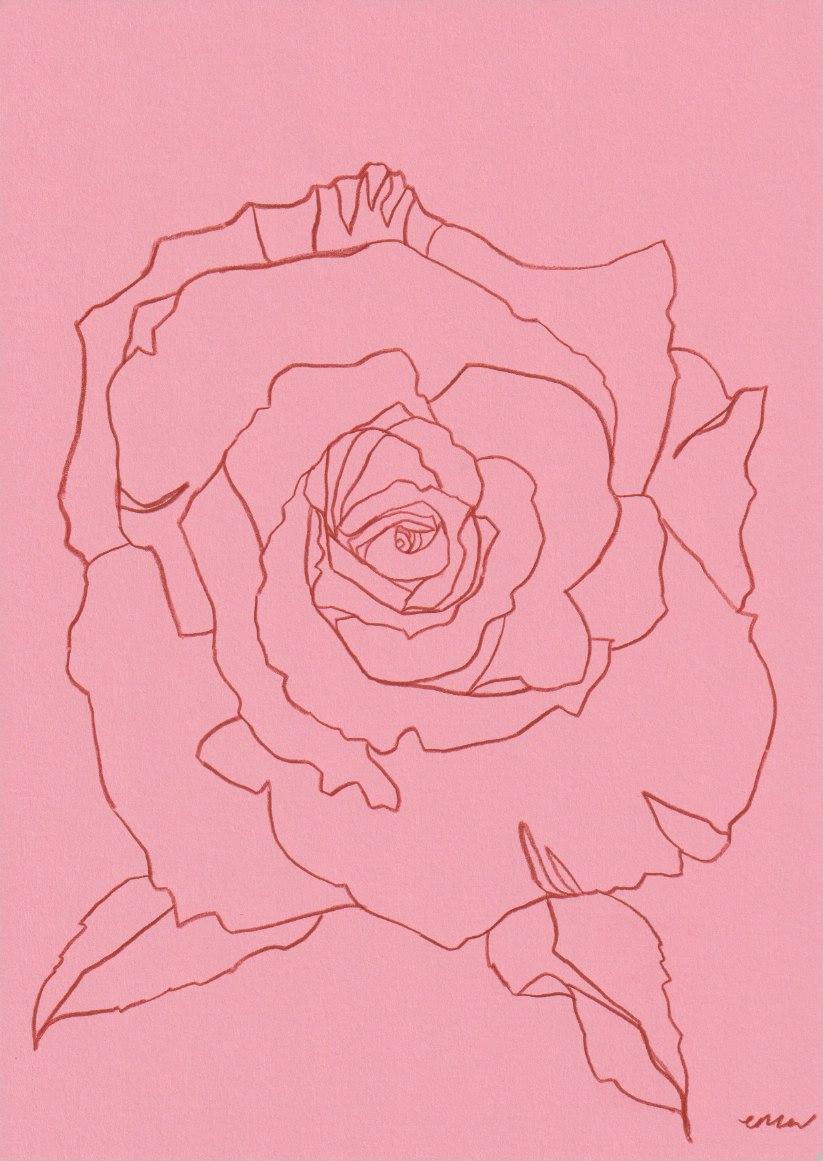 Ellen Williams Still-Life Painting - Rose IX, Original Painting, Floral, Flower, Still life, Pen 